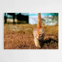tableau chaton 1.webp
