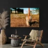 tableau chaton paysage 3 2 2.webp