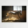 tableau cheval blanc 1.webp