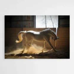tableau cheval blanc 1.webp