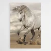 tableau cheval criniere au vent 1.webp