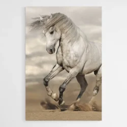 tableau cheval criniere au vent 1.webp