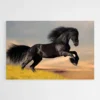 tableau cheval noir 1.webp