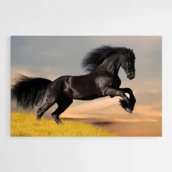 tableau cheval noir 1.webp