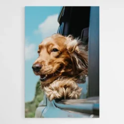 tableau cocker 1.webp
