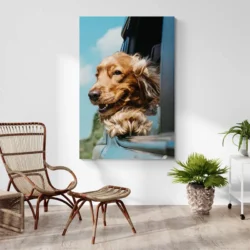 tableau cocker portrait 2 3 3.webp