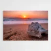tableau coquillage sable 1.webp