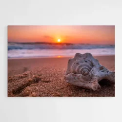 tableau coquillage sable 1.webp