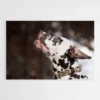 tableau dalmatien 1.webp