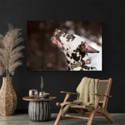 tableau dalmatien paysage 3 2 2.webp