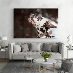 tableau dalmatien paysage 3 2 3.webp