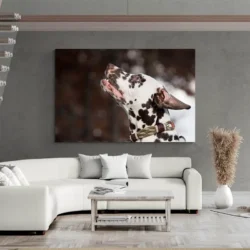 tableau dalmatien paysage 3 2 4.webp