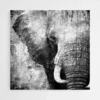 tableau elephant gris 1.webp
