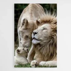tableau famille lion 1.webp