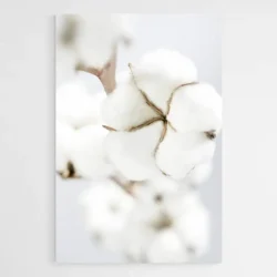 tableau fleur de coton 1.webp