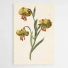 tableau fleur de lys 1.webp