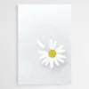 tableau fleur marguerite 1.webp