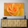 tableau fleur orange paysage 3 2 3.webp