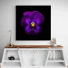 tableau fleur violette carre 2.webp