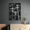 tableau girafes noir et blanc portrait 2 3 4.webp