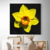 tableau jonquille carre 4.webp