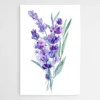 tableau lavande 1.webp