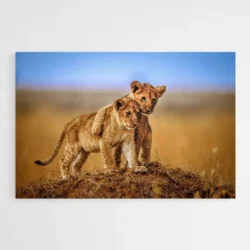tableau lion bebe 1.webp