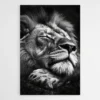 tableau lion qui dors 1.webp