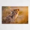 tableau lionceaux 1.webp