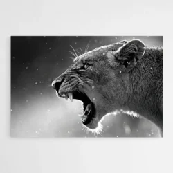 tableau lionne noir et blanc 1.webp