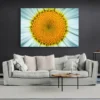 tableau marguerite paysage 3 2 3.webp