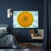 tableau marguerite paysage 3 2 4.webp