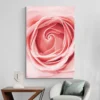 tableau moderne fleur portrait 2 3 2.webp