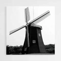 tableau moulin a vent 1.webp