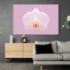 tableau orchidee blanche paysage 3 2 2.webp