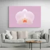 tableau orchidee blanche paysage 3 2 3.webp