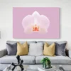 tableau orchidee blanche paysage 3 2 4.webp