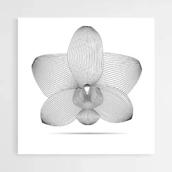 tableau orchidee moderne 1.webp