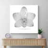 tableau orchidee moderne carre 2.webp