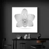 tableau orchidee moderne carre 3.webp