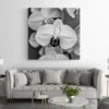 tableau orchidee noir et blanc carre 4.webp