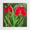 tableau orchidee rouge 1.webp