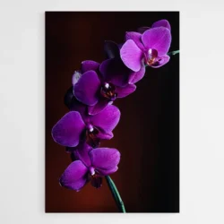 tableau orchidee violet 1.webp