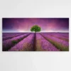 tableau paysage lavande 1.webp