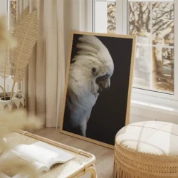 tableau perroquet blanc portrait 2 3 3.webp