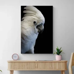 tableau perroquet blanc portrait 2 3 4.webp
