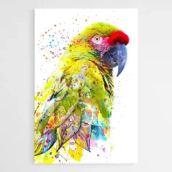 tableau perroquet moderne 1.webp