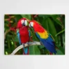 tableau perroquet sur branche 1.webp