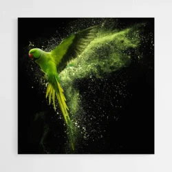 tableau perroquet vert 1 1.webp