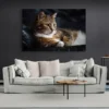 tableau photo chat paysage 3 2 2.webp